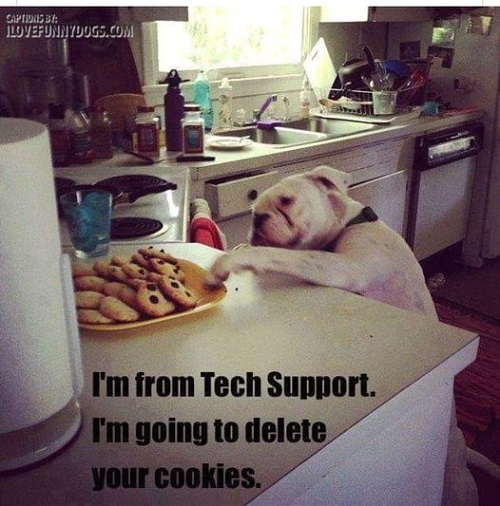 dog deletess cookies.jpg